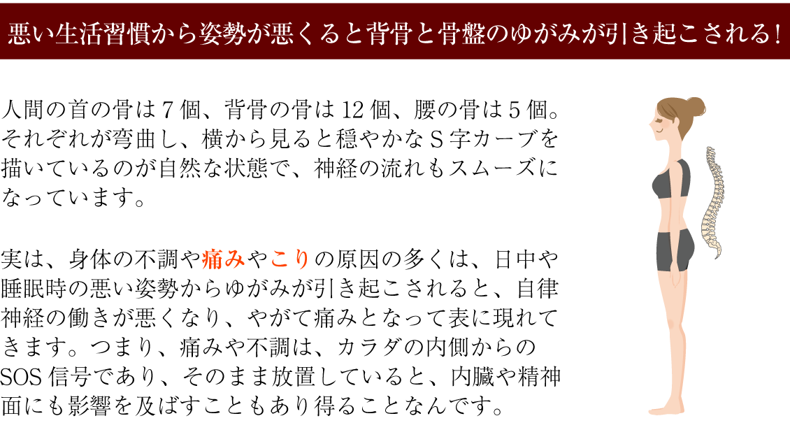 悪い生活習慣から姿勢が悪くると背骨と骨盤のゆがみが引き起こされる! 人間の首の骨は7 個、背骨の骨は12 個、腰の骨は5 個。それぞれが弯曲し、横から見ると穏やかなS 字カーブを描いているのが自然な状態で、神経の流れもスムーズになっています。実は、身体の不調や痛みやこりの原因の多くは、日中や睡眠時の悪い姿勢からゆがみが引き起こされると、自律神経の働きが悪くなり、やがて痛みとなって表に現れてきます。つまり、痛みや不調は、カラダの内側からのSOS 信号であり、そのまま放置していると、内臓や精神面にも影響を及ばすこともあり得ることなんです。