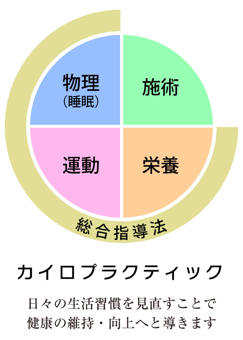 物理(睡眠)・施術・運動・栄養 総合指導法 カイロプラクティック 日々の生活習慣を見直すことで健康の維持・向上へと導きます