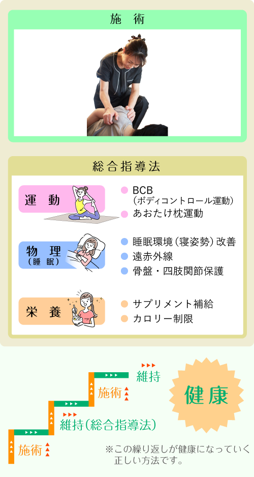 施術、総合指導法：運動＝BCB（ボディコントロール運動）、あおたけ枕運動　物理（睡眠）＝睡眠環境（寝姿勢）改善、遠赤外線、骨盤・四肢関節保護　栄養＝サプリメント補給、カロリー制限